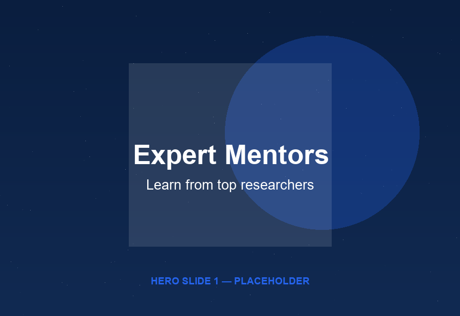 Expert Mentors